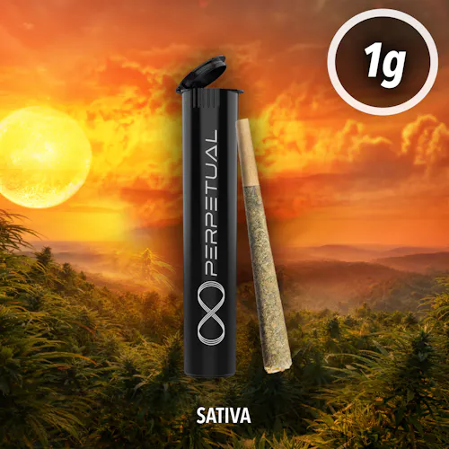 Goat Milk 1G Pre-Roll PERPETUAL