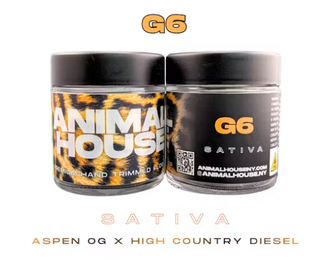G6 Animal House
