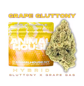 Grape Gluttony Animal House