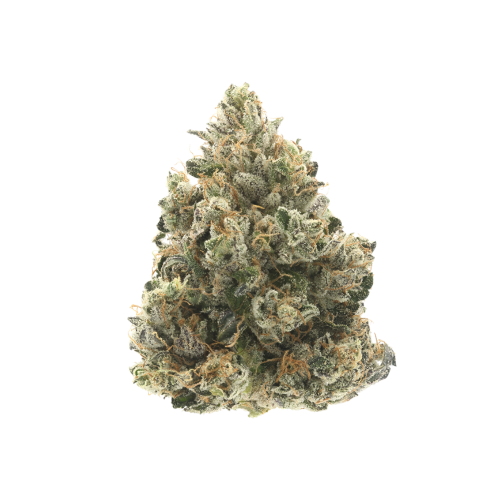 Donny Burger 710 LABS