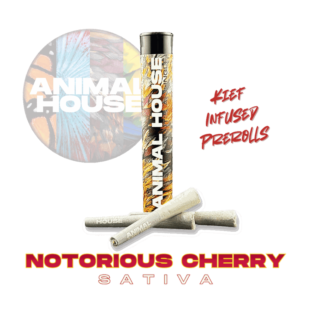 Notorious Cherry