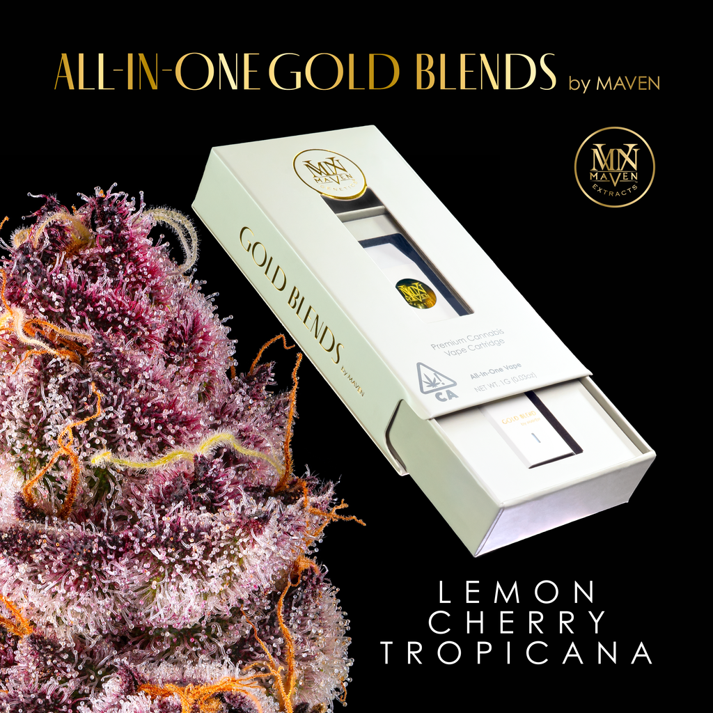 MVN Productions: Lemon Cherry Tropicana