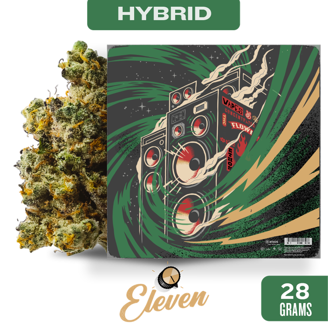 California Eleven
