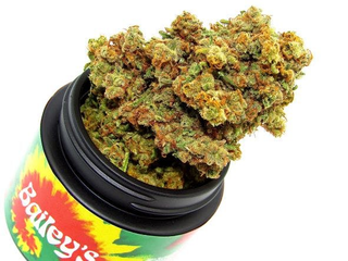 Hocus Smokus 3.5g Bailey's Buds