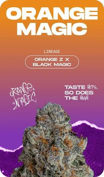 Orange Magic Eighth