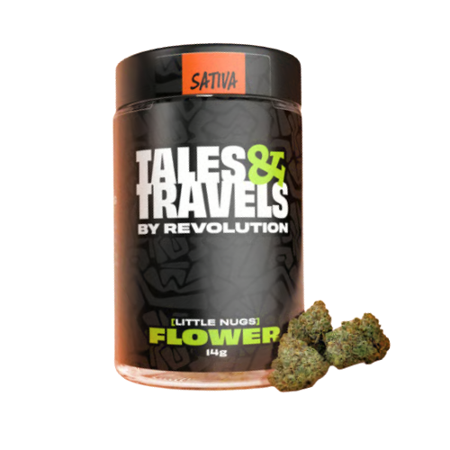 Paradise Tales & Travels
