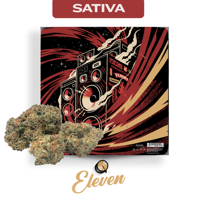Pura Vida Eleven