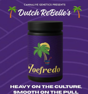 Zoefredo Cannalive
