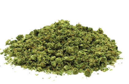 Aspen OG X High Country Diesel URBNJ