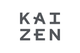 Disposable Kaizen Extracts Disposable Kaizen Extracts