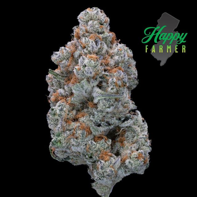 Truffle Jordan Happy Farmer