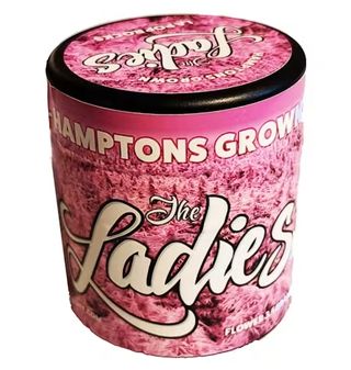 LA Pop Rocks The Ladies