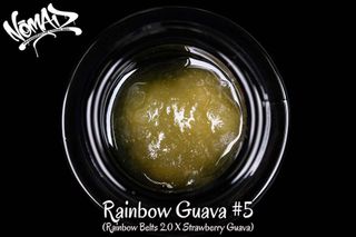 Rainbow Guava #5 Living Soil Live Rosin Nomad