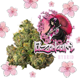 Cannabis Promo, Cannabis Sales, Cannabis Offers, Cannabis on Sale, Value 8th Bundle 3