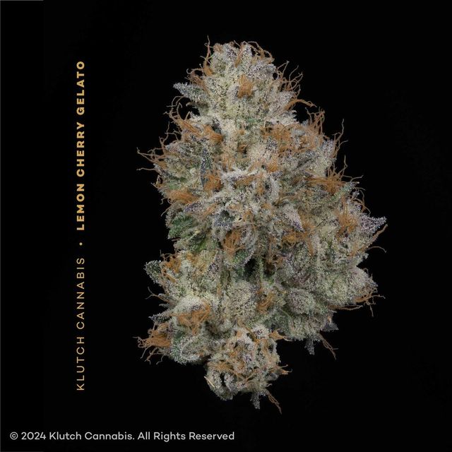 Lemon Cherry Gelato  Klutch Cannabis