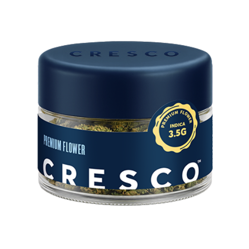 Ice Cream Cake Cresco