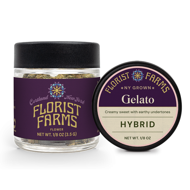 Gelato  Florist Farms