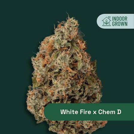 White Fire x Chem D