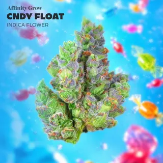 Cndy Float