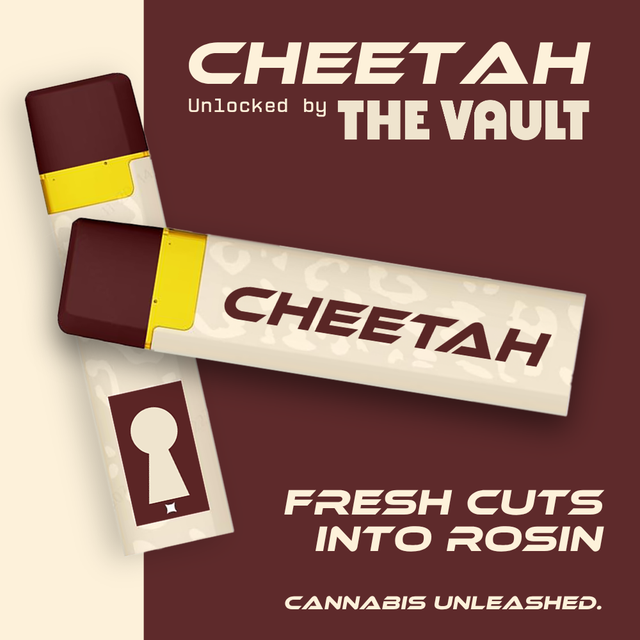 Kashmir Kush Cheetah