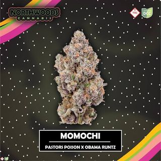 Momochi Northwoods
