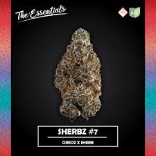Sherbz #7 The Essentials