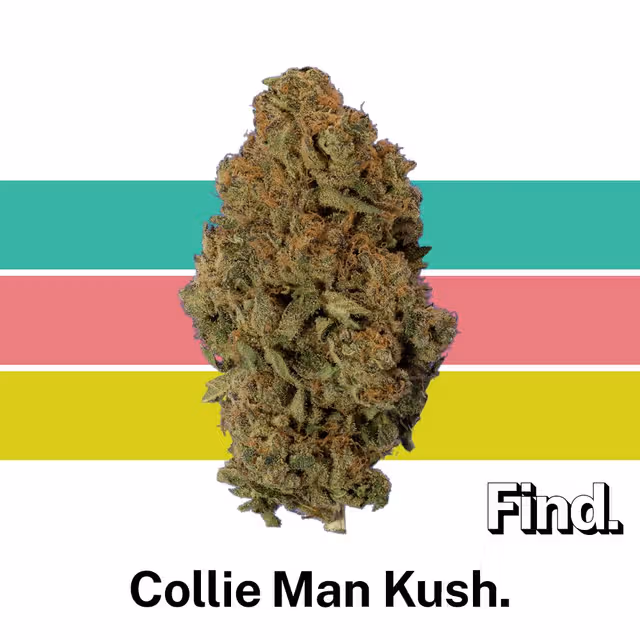 COLLIE MAN KUSH - (i) FIND.