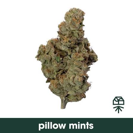 PILLOW MINTS - (i)