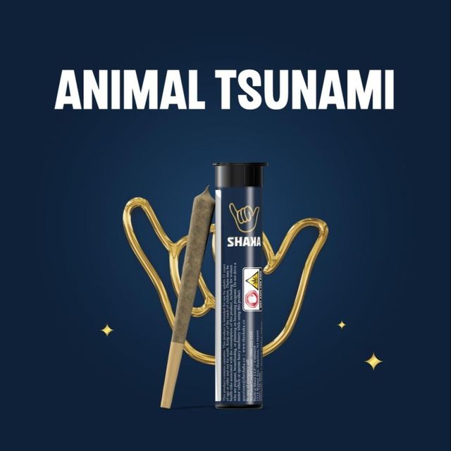 Animal Tsunami Shaka