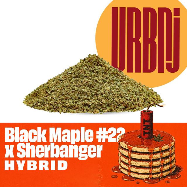 Black Maple #22 x Sherbanger URBNJ