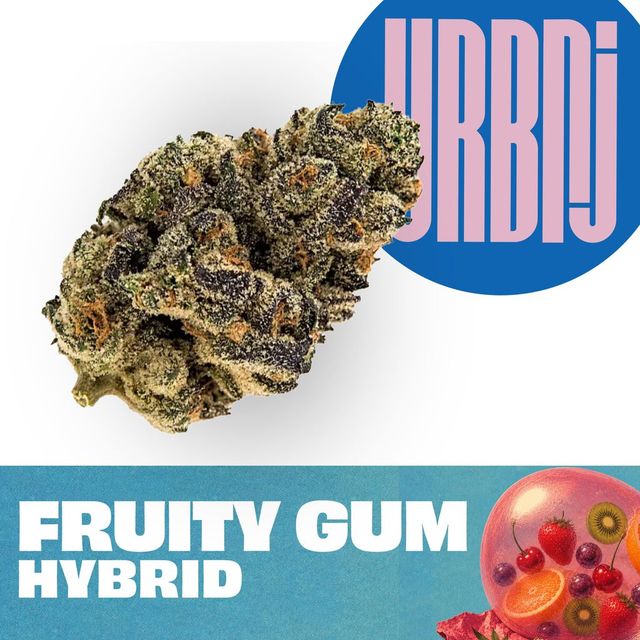 Fruity Gum URBNJ