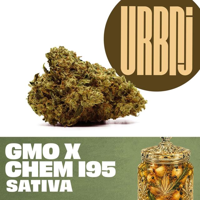 GMO x Chem I95 URBNJ