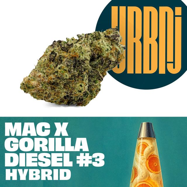 MAC x Gorilla Diesel #3 URBNJ