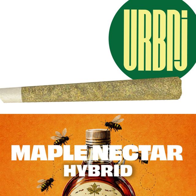 Maple Nectar  URBNJ