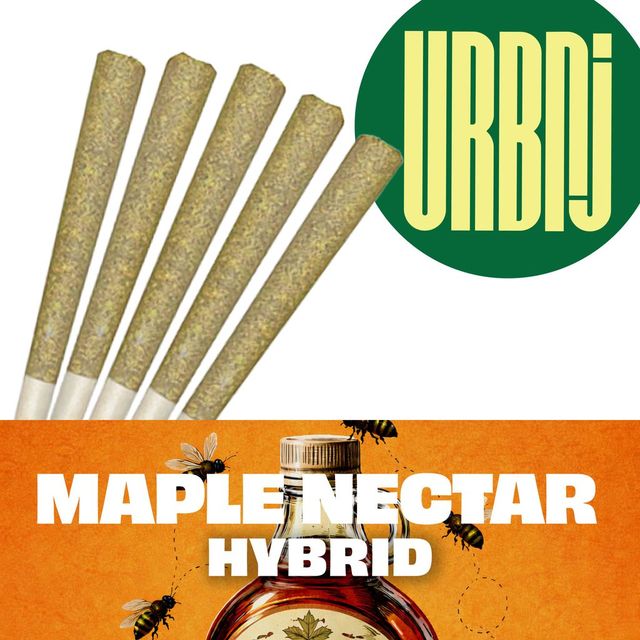 Maple Nectar URBNJ