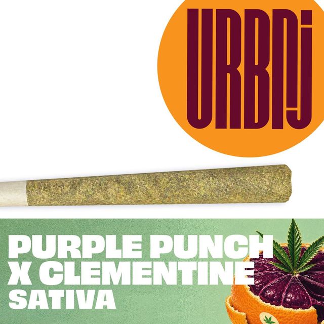 Purple Punch x Clementine URBNJ