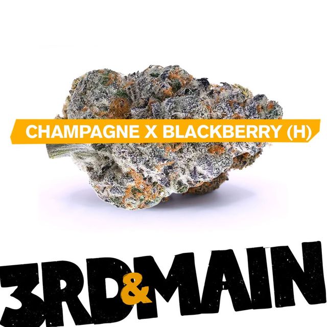 Champagne x Blackberry 3rd & Main Champagne x Blackberry 3rd & Main