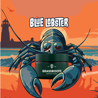Blue Lobster FIND. Blue Lobster FIND.