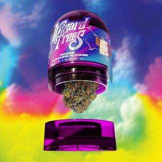Rainbow Runtz Wizard Trees