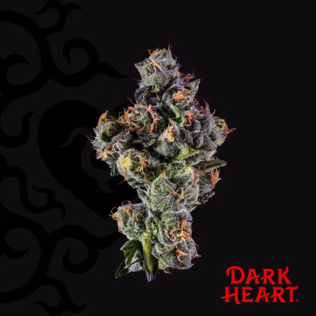 Alchemy by Dark Heart: Dark Heart Kushions
