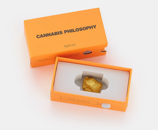 Secret Meeting  Cannabis Philosophy