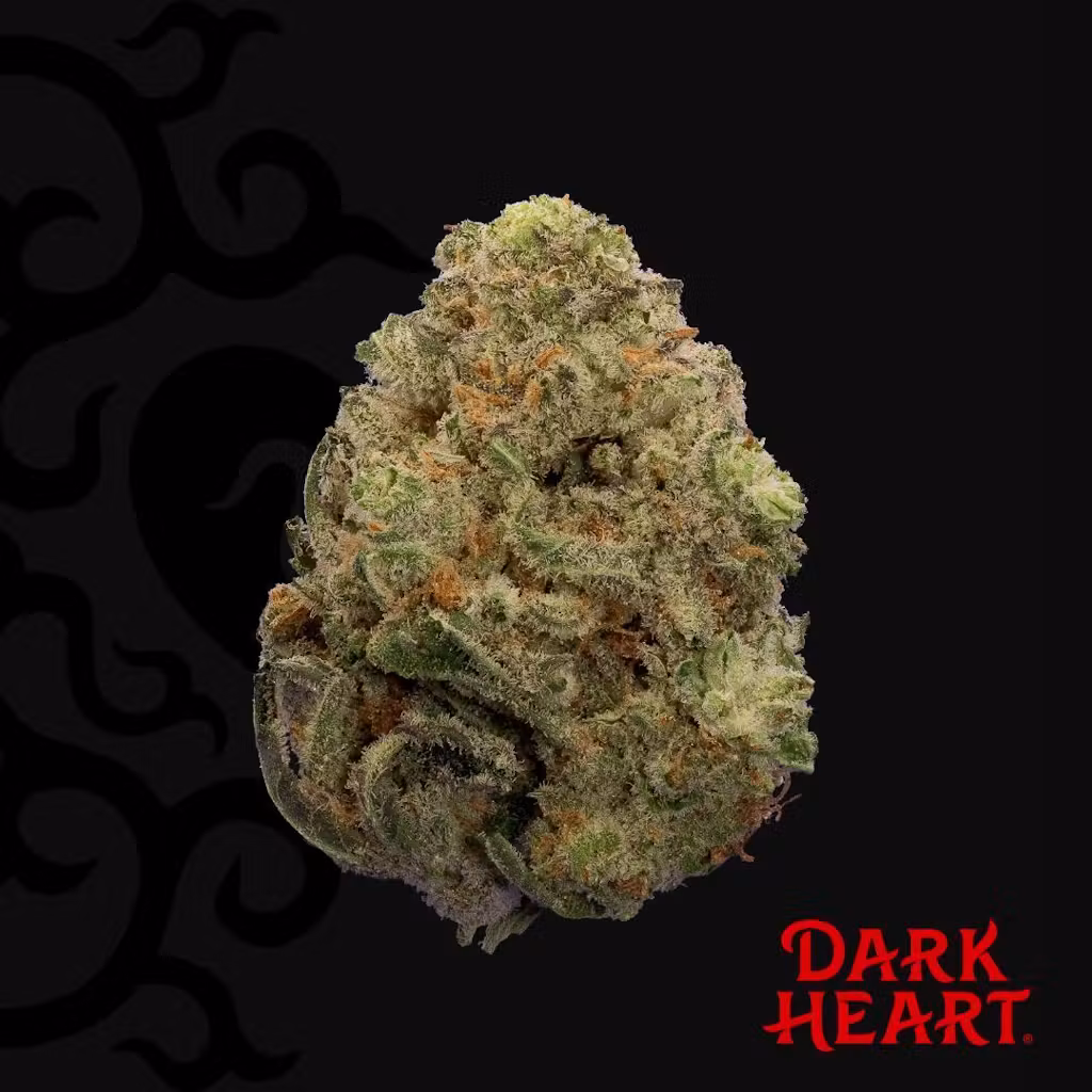 Alchemy by Dark Heart: Titan Express