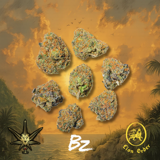 Runna Gyal BZ by Lion Order