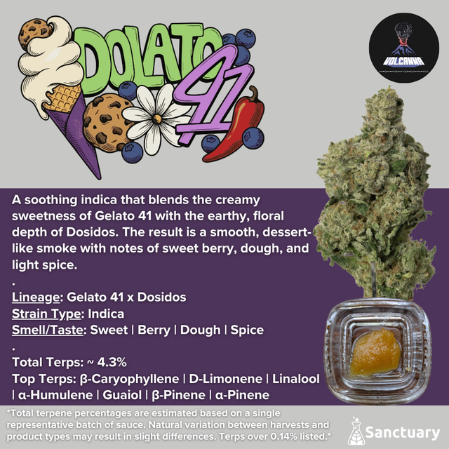 Dolato 41 - Cured Resin Volcanna