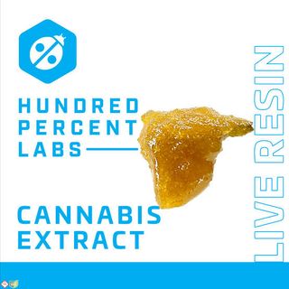 Chicken Bristle Hundred Percent Labs