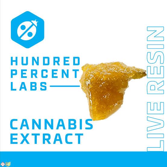 Chicken Bristle Hundred Percent Labs