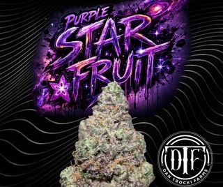 Purple Starfruit  DTF