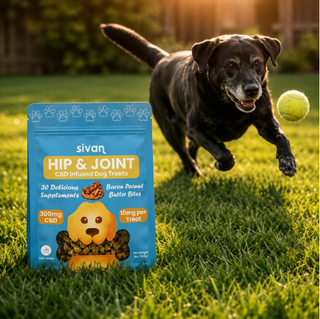 Bacon Peanut Butter- Hip & Joint 30ct Pet Treats Sivan