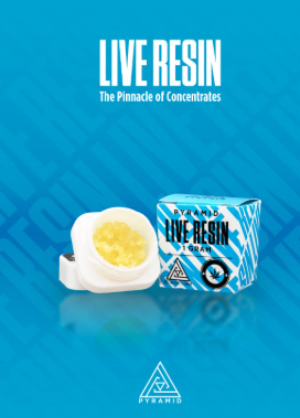 Chemdawg Live Resin Pyramid
