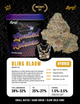 Bling Blaow Legacy Cannabis Bling Blaow Legacy Cannabis